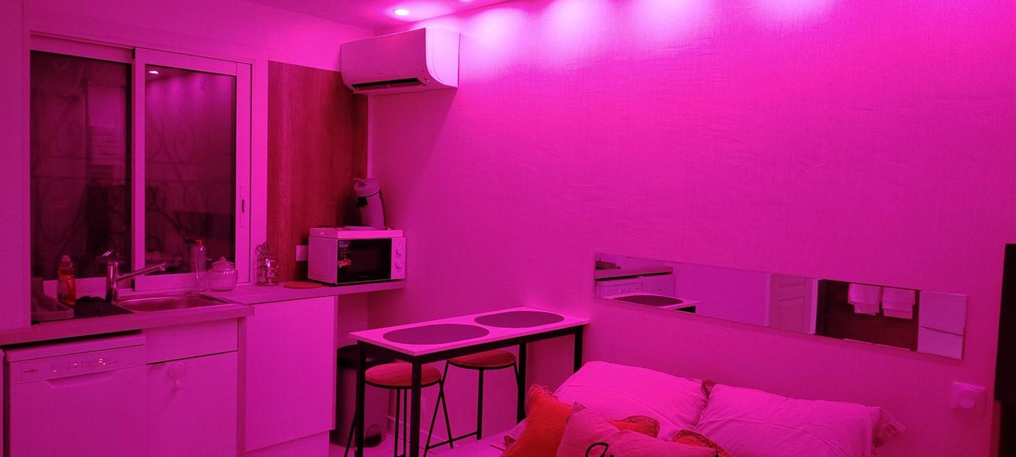 Studio Cosy Balneo Avec Jardin Le Barcarès Kültér fotó