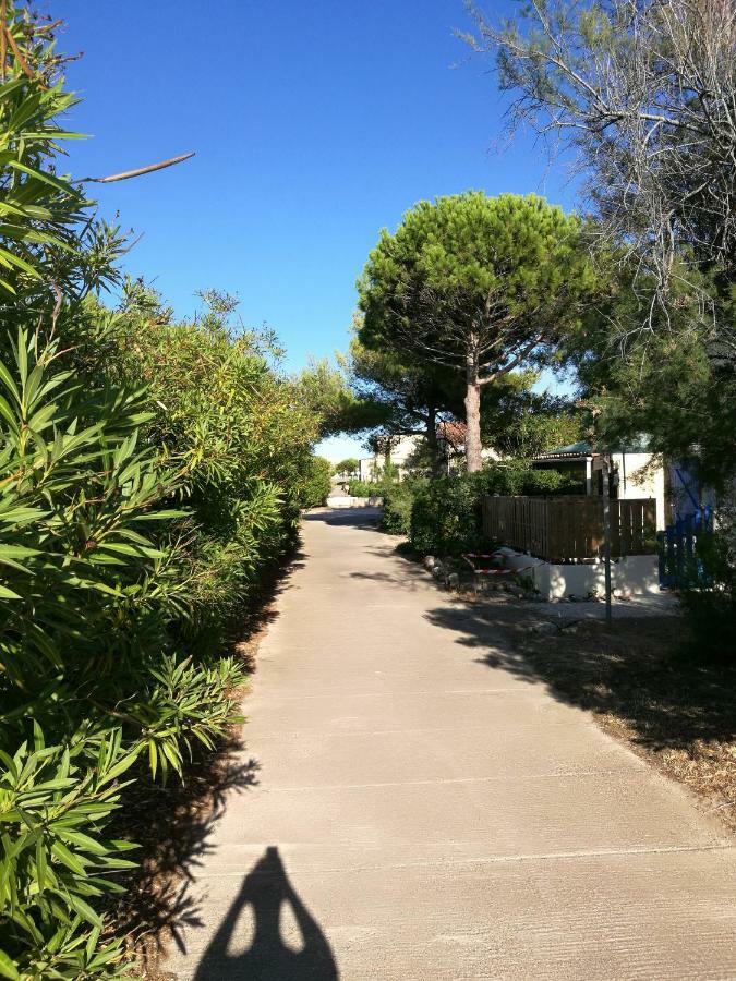 Studio Cosy Balneo Avec Jardin Le Barcarès Kültér fotó
